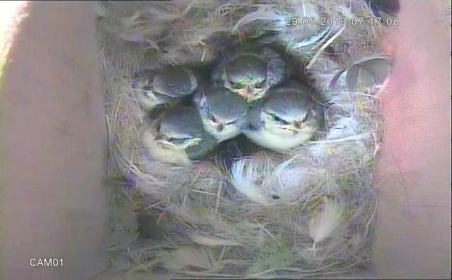 4811D712-93ED-4C28-AB18-98E9492FC146