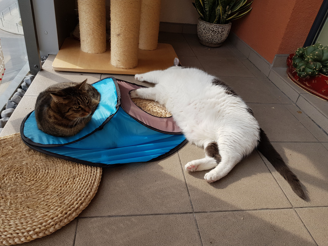 20190908-151414.jpg