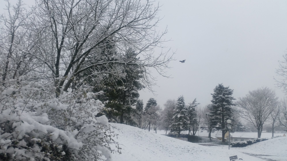 [Image: 27709957-710378199351303-2586321703346202930-o.jpg]