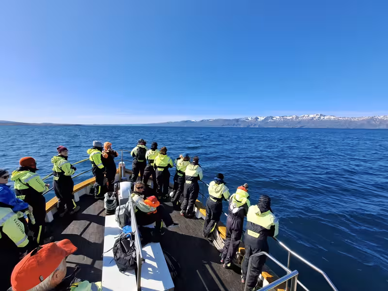 7/07/2025 BALLENAS EN HUSAVIK y RUTA CASCADAS HAFRAGILSFOSS, DETTIFOSS Y SELFOSS - 2º Viaje a la Tierra del Hielo y Fuego de 21 días (en construcción, con videos) (5)