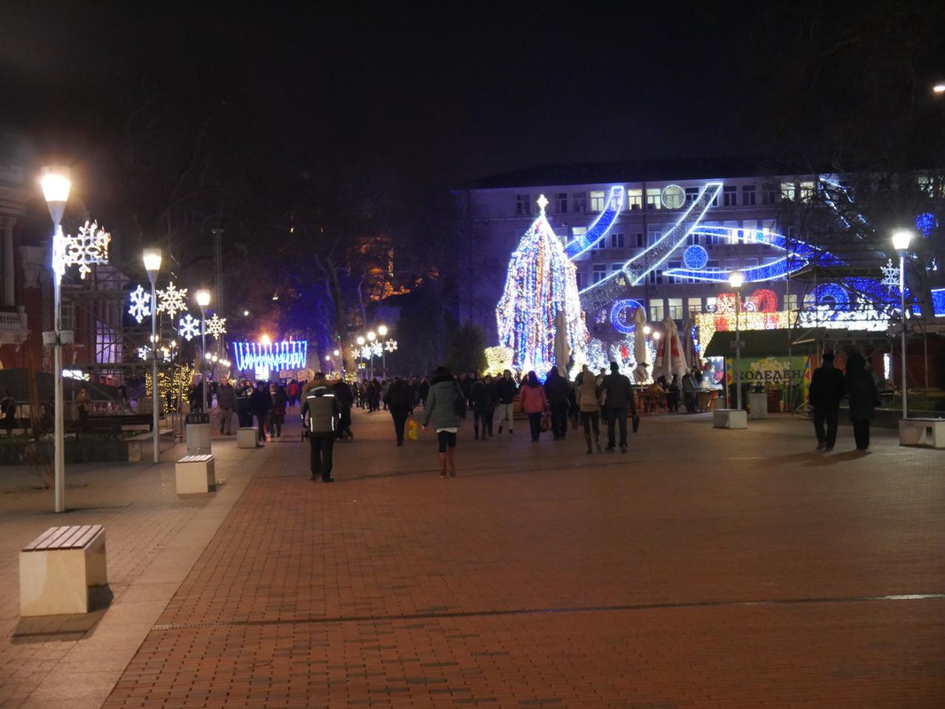 P1090064.jpg
