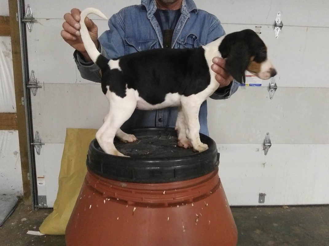 423044C6-3D81-47E7-BEDC-059226EC5D20