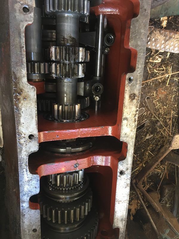 14CC8B1B-CE1C-4E82-88EB-DCAAD1EF4623