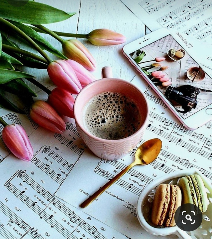 Screenshot_20230905_013448_Pinterest