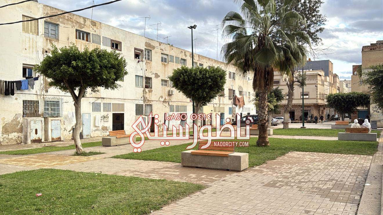 622607329-1228097752041404-5991519154634669877-n