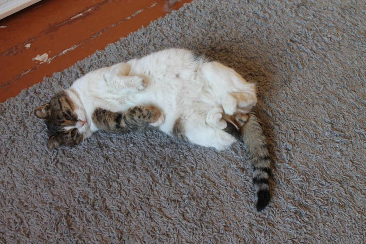 5F8DE6F9-C1E1-4212-95CC-DE85CF693D4C