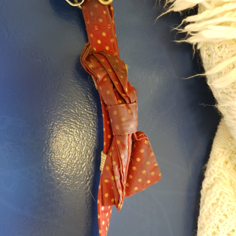 [Image: 20210603-184527.jpg]