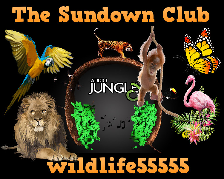DJ-Sundown