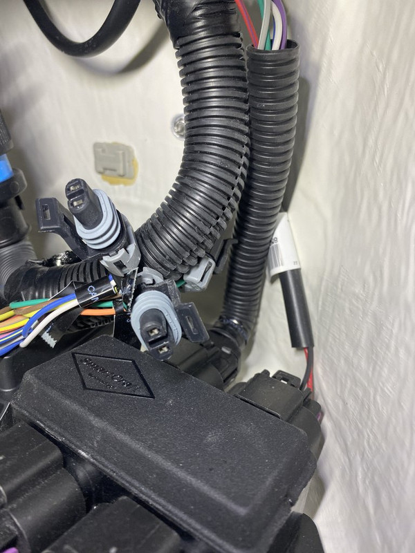 AA03D0A7-CE5A-4D06-AC5B-465ADD6E50C9