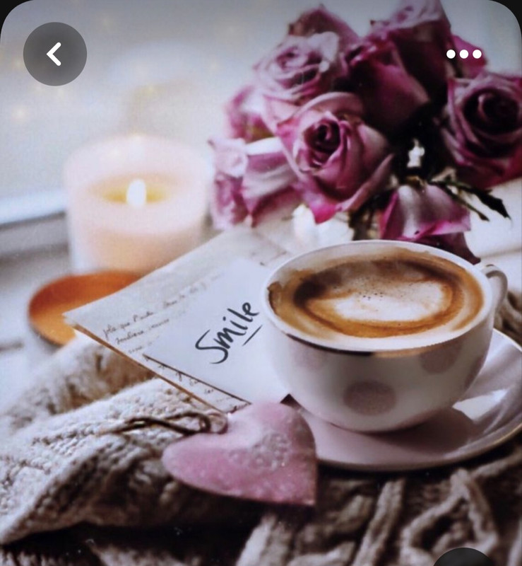 Screenshot_20230517_002731_Pinterest