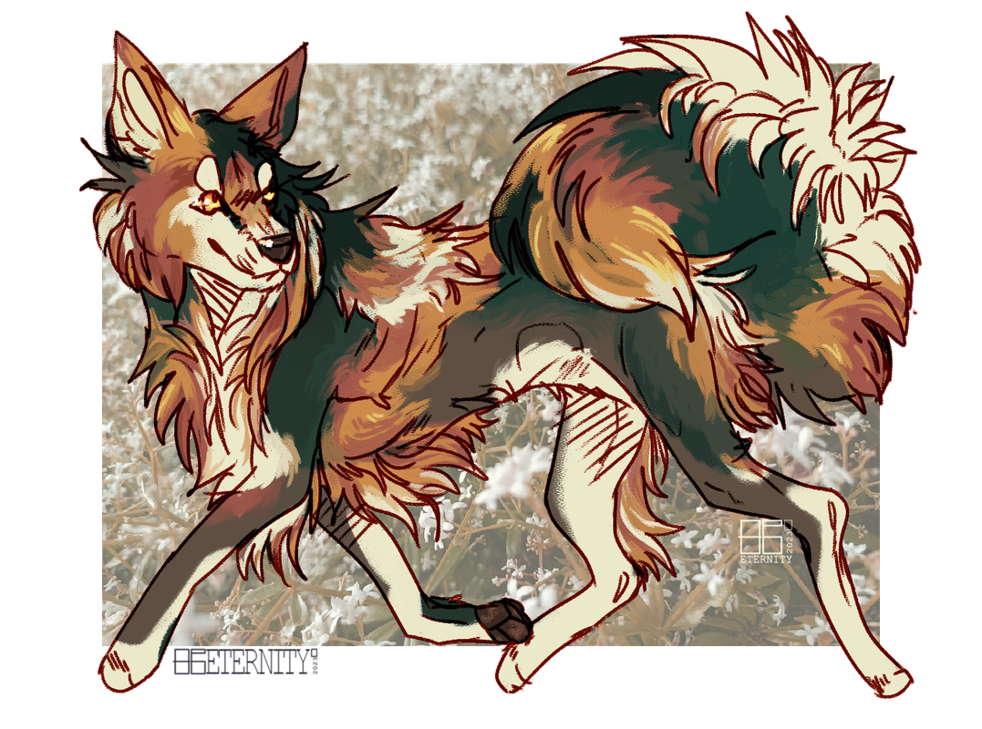Autumn-Forest.png