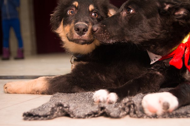 EFF1D9EF-5B43-4FC0-8299-2C8214624492