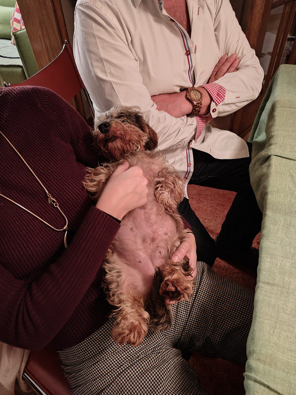 [Image: IMG-20241031-WA0000.jpg]