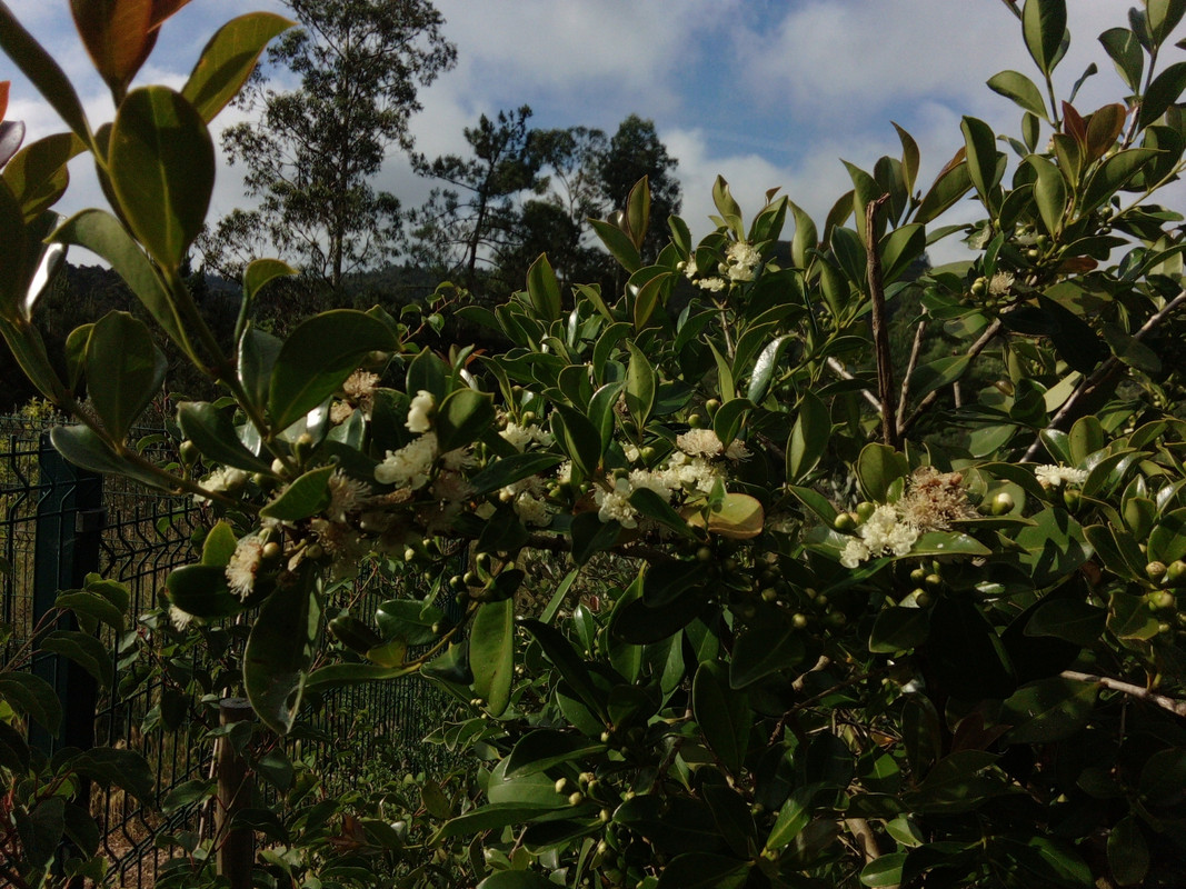 DSC_0290_resized_20190610_092649567