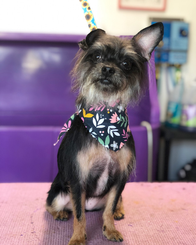 51CED98A-D741-4F16-AE89-210ACA4DE330