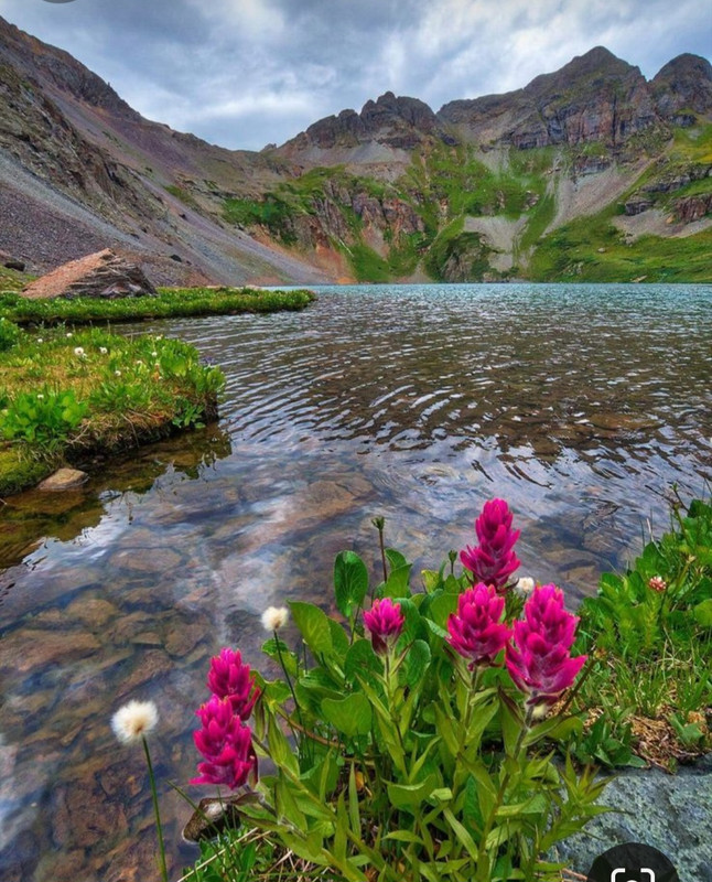 Screenshot_20240305_222018_Pinterest