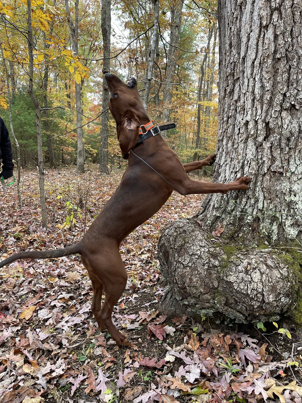 A9E9BC1A-8C84-4624-856A-A229FC06924E