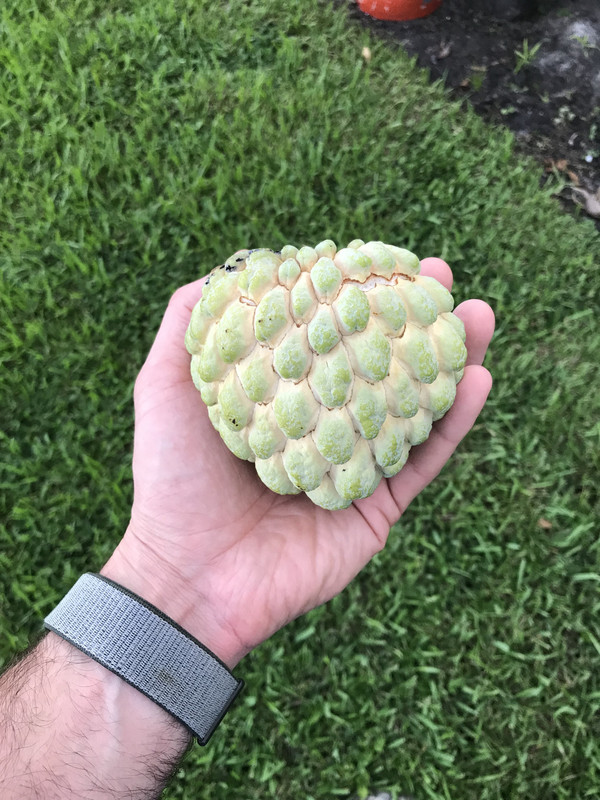 19596FC7-5528-42FF-8A2C-4ED16649536F