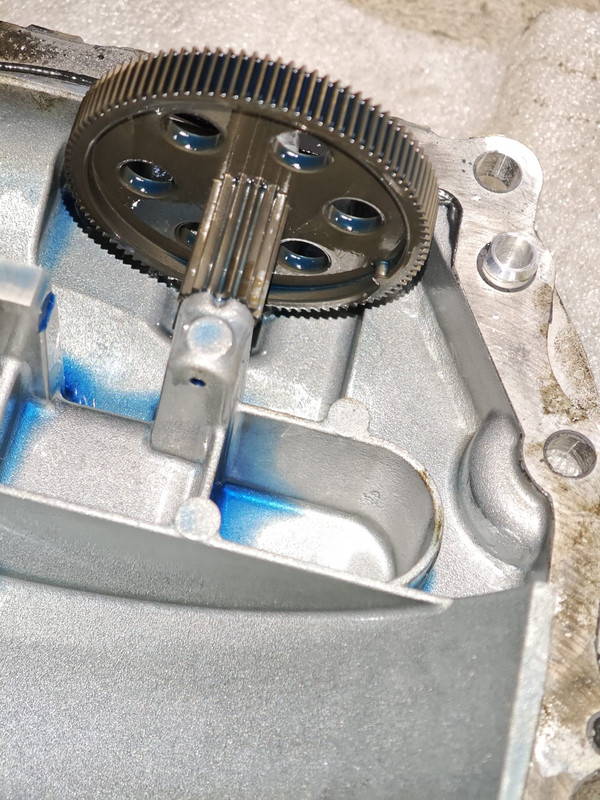 Zdjęcie WhatsApp 2025-04-11 o 13.49.44_0e02d917