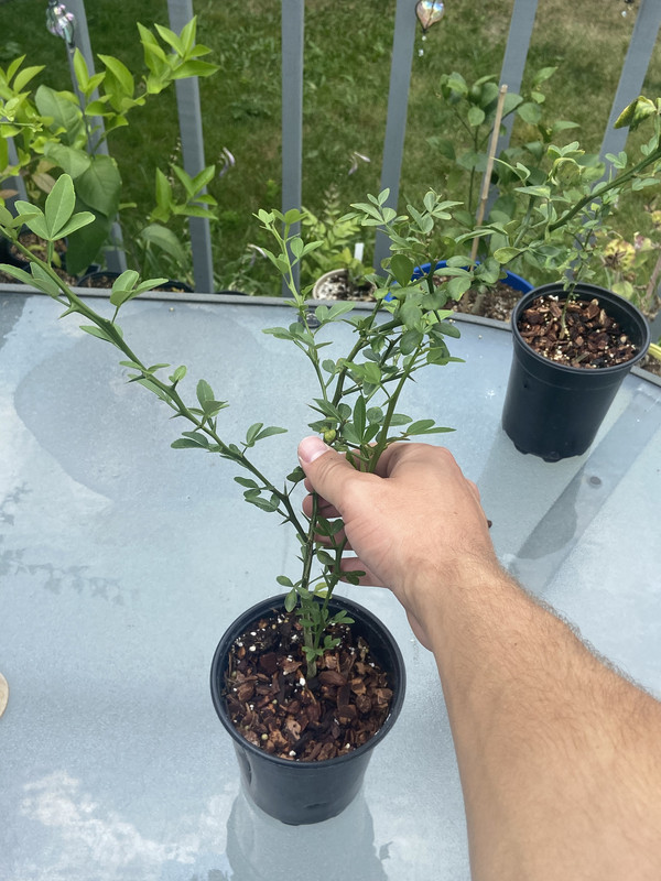 77126454-875A-4463-AD3F-9E122D312129