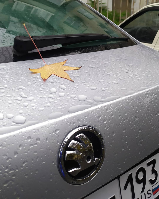 IMG_20201209_171328_099