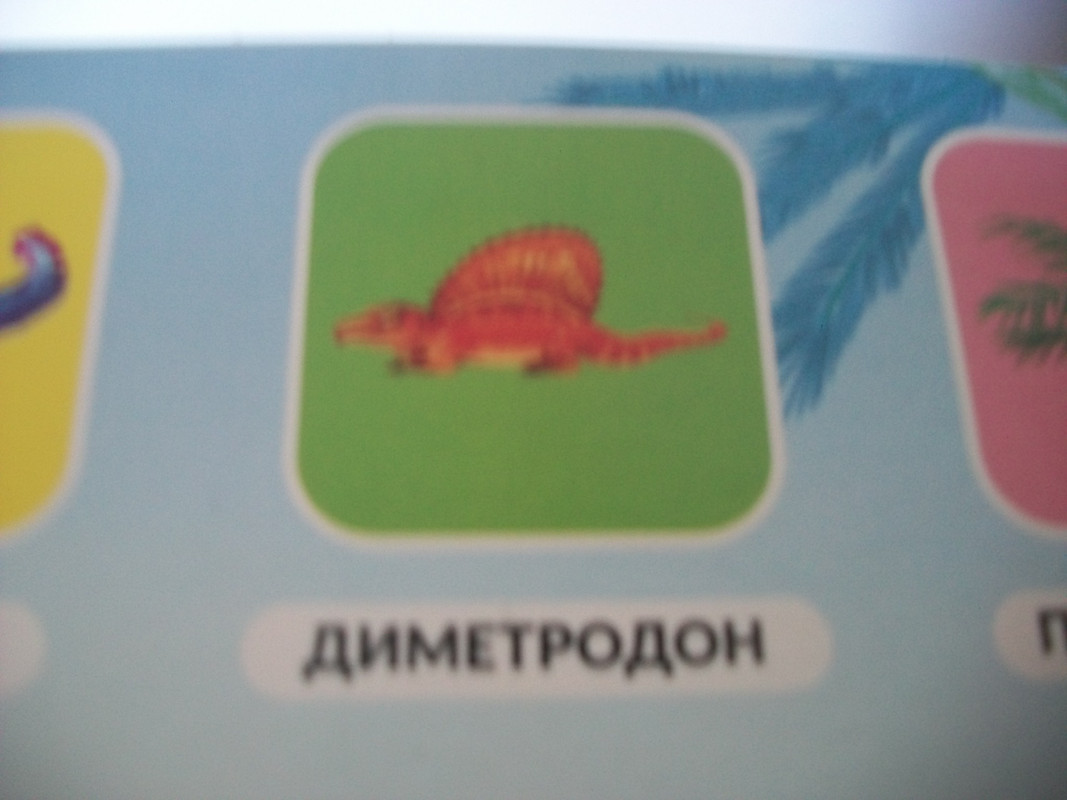 100_7669