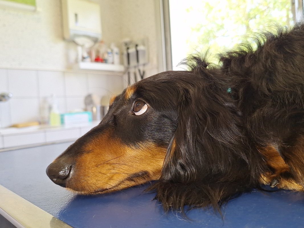 [Image: 20240515-163343.jpg]