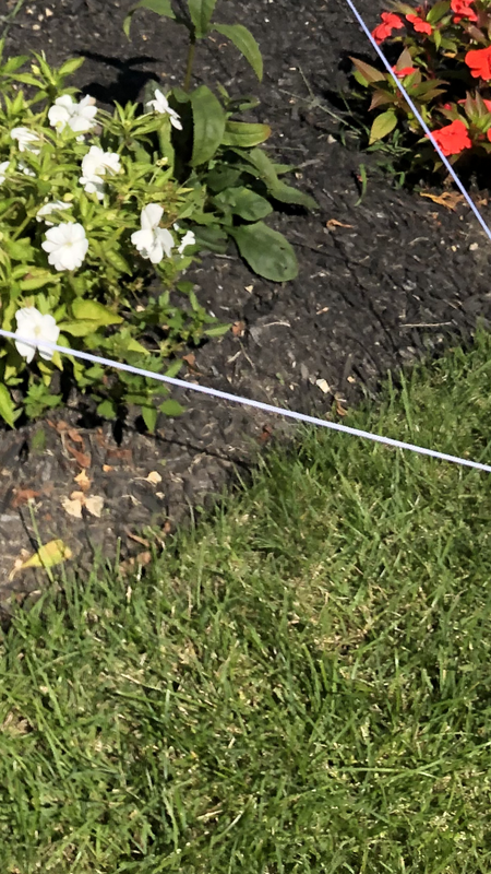 FC184A6F-0F60-49BD-9E6E-4C85DB55AB8A