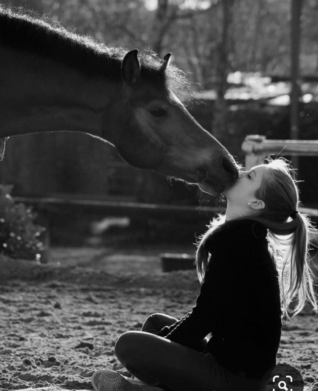 Screenshot_20231201_222422_Pinterest