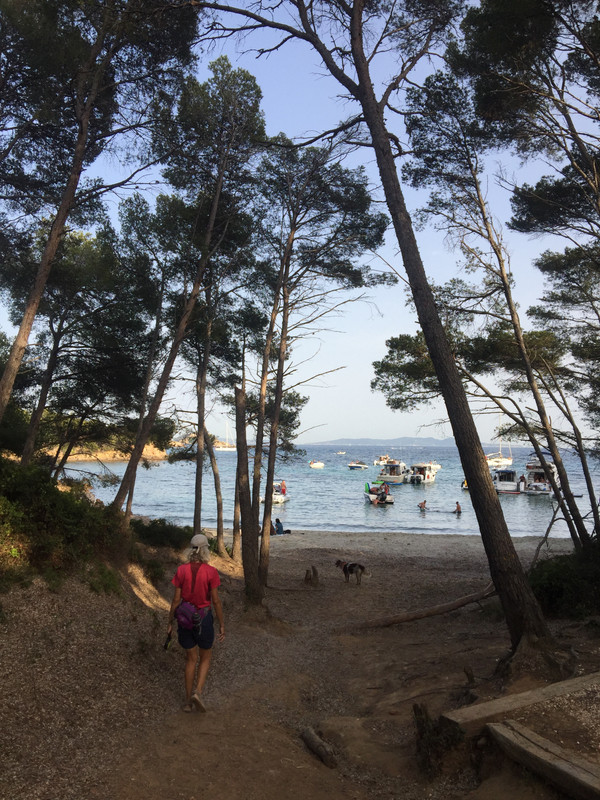 DAA6D07A-5E7B-4402-8984-B7DE22DD77B0