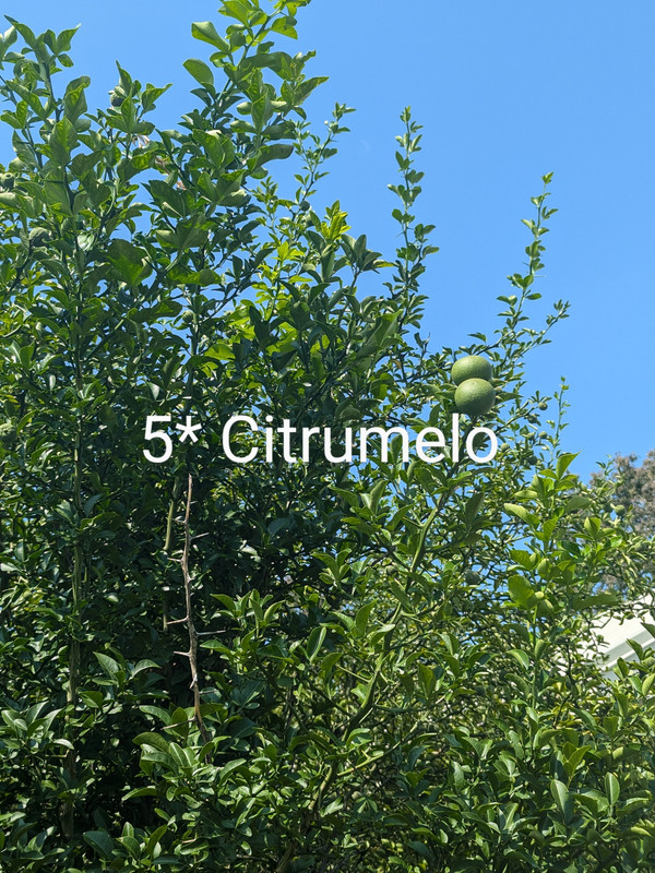 PXL_20240825_183001364~2