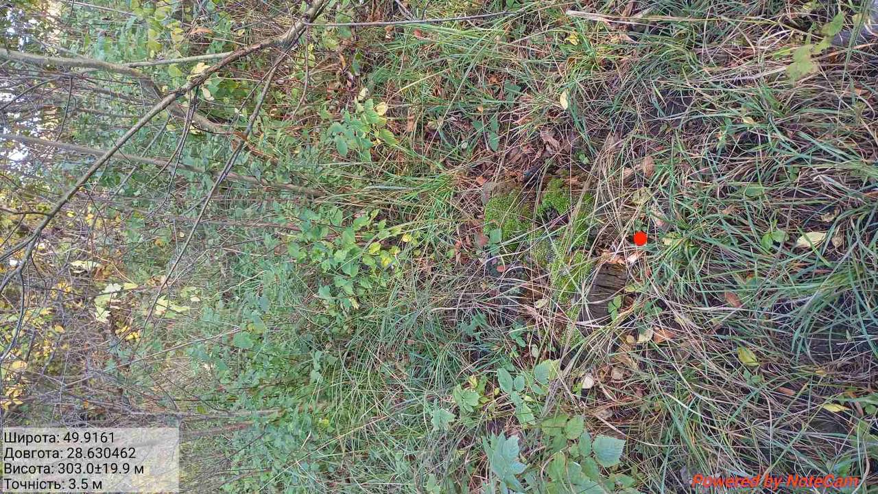 photo_6_2025-10-12_05-20-17