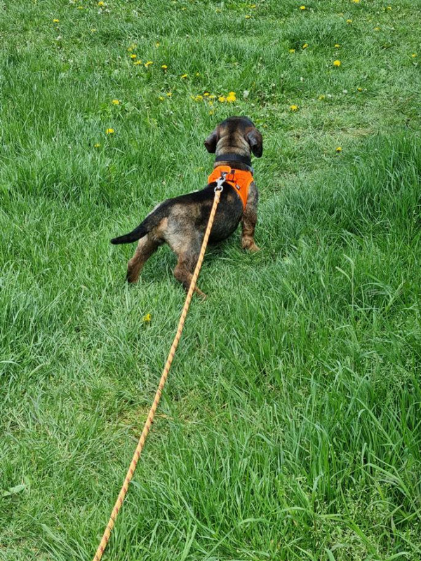 [Image: image000002-18.jpg]