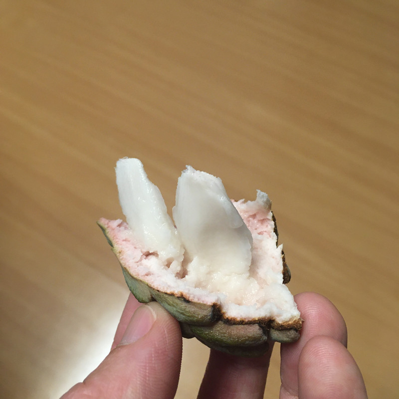 F1B4EAD1-8812-4ADD-A08F-1C4FCDB42CDA