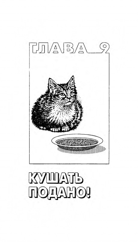 Николай Непомнящий - 200 кошачьих почему - 1995_page-0260