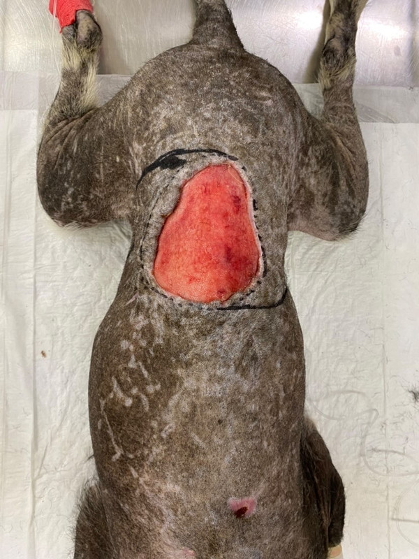 599FCE48-8FD6-454A-A844-D5CBBD767068