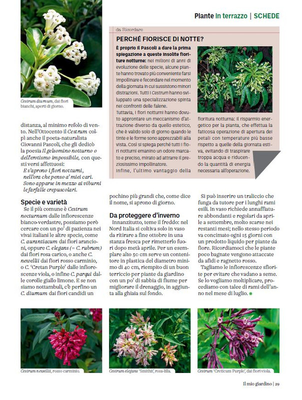 Il Mio Giar Ott-Nov 2023 (6)