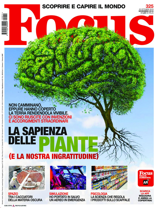 Focus Italia - Novembre 2019