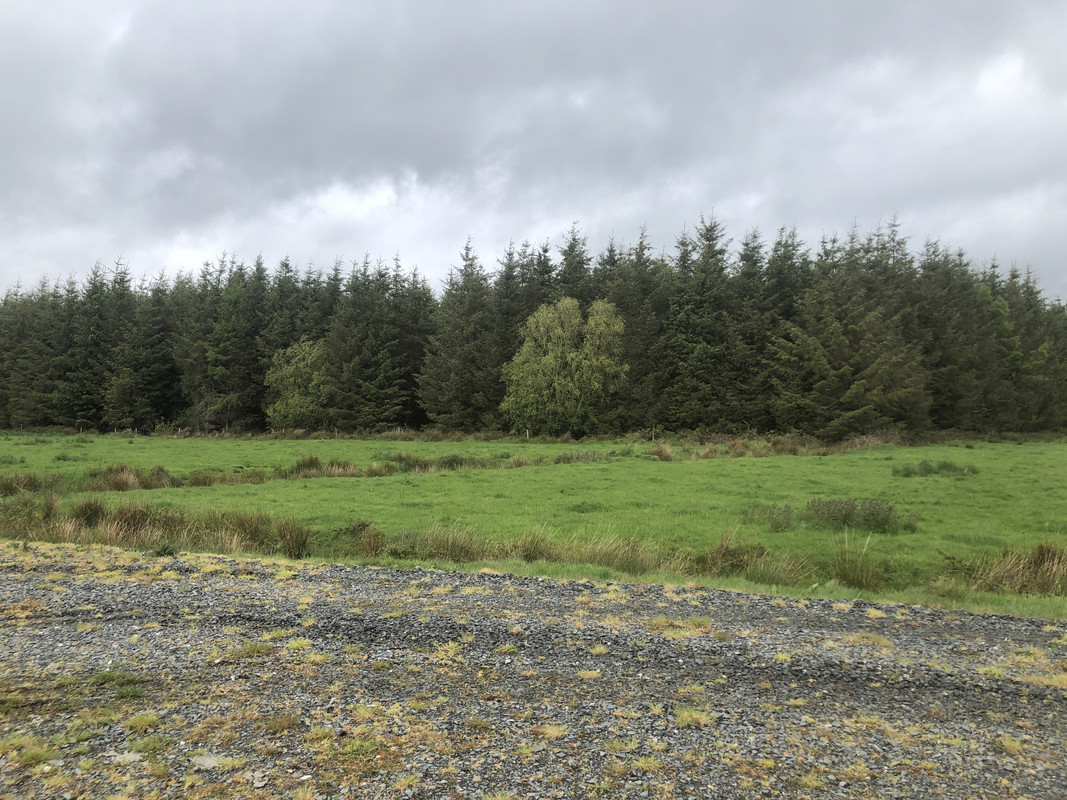 7F425423-3EF1-4E5F-A45C-53EF75A1262B