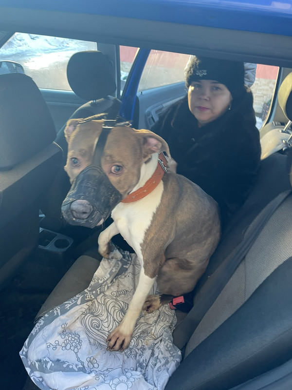 3FA33610-285C-4A83-8E5C-FB34BC7D691F