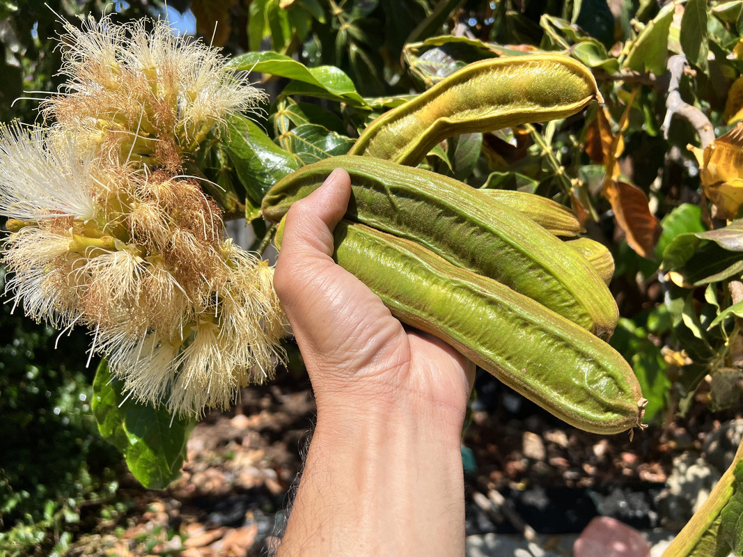 110225AA-7C44-45D3-9930-F8382A3178E5