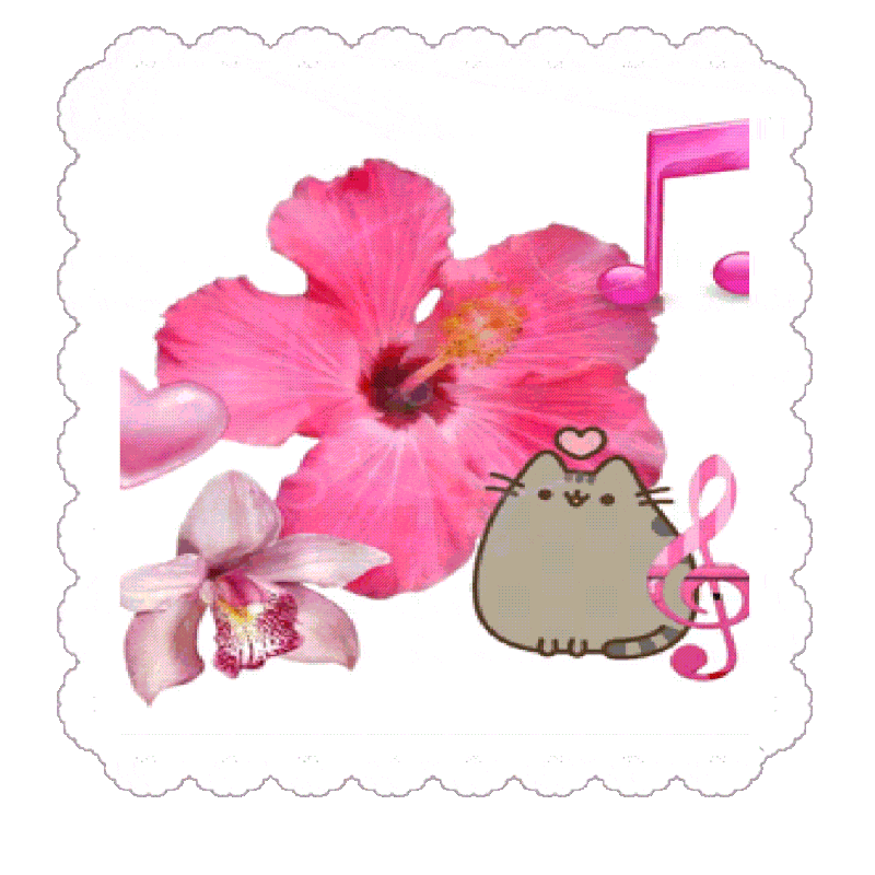 graphic // template by @poems on neospring