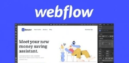 Webflow For Entrepreneurs and UI/UX Designers