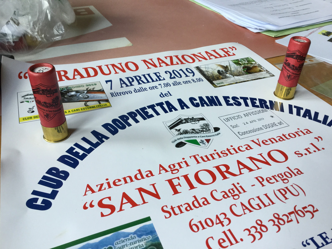 42378FD4-1A9A-4B6C-B5BD-3AEA4AA5F036