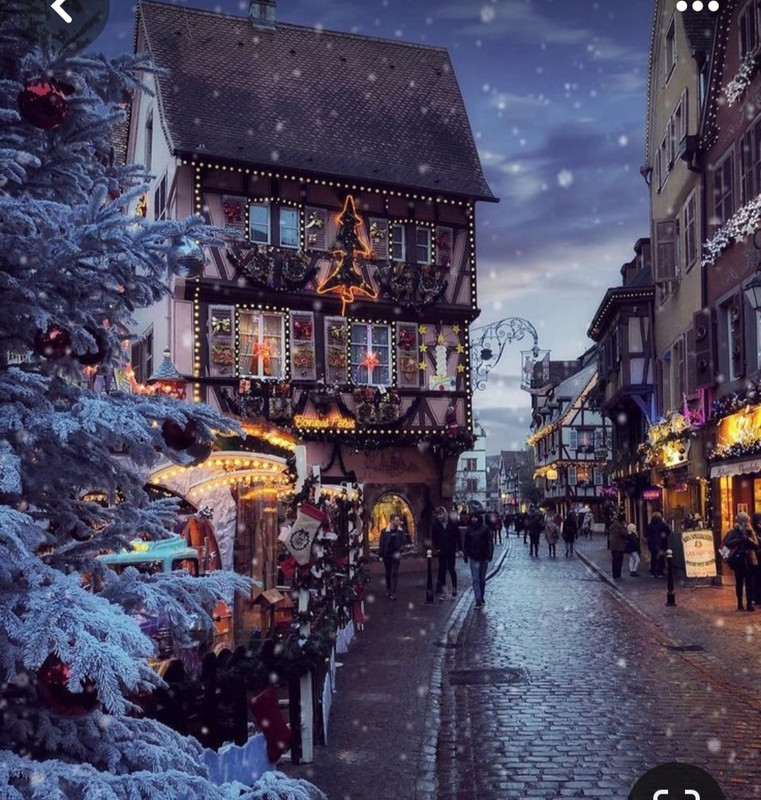 Screenshot_20231205_174121_Pinterest