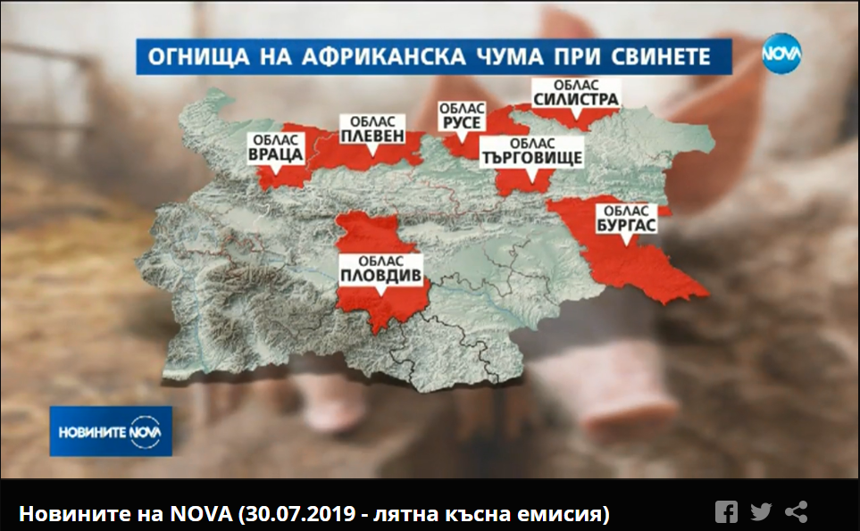 Nova-TV-obla-S.png