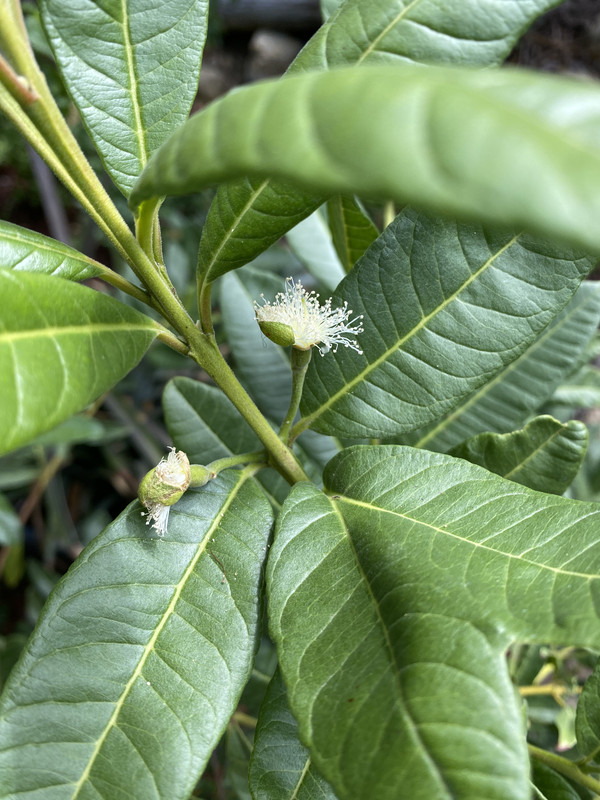 5B353DEA-C3FC-4AC6-AB0F-4FF5FD79CA05