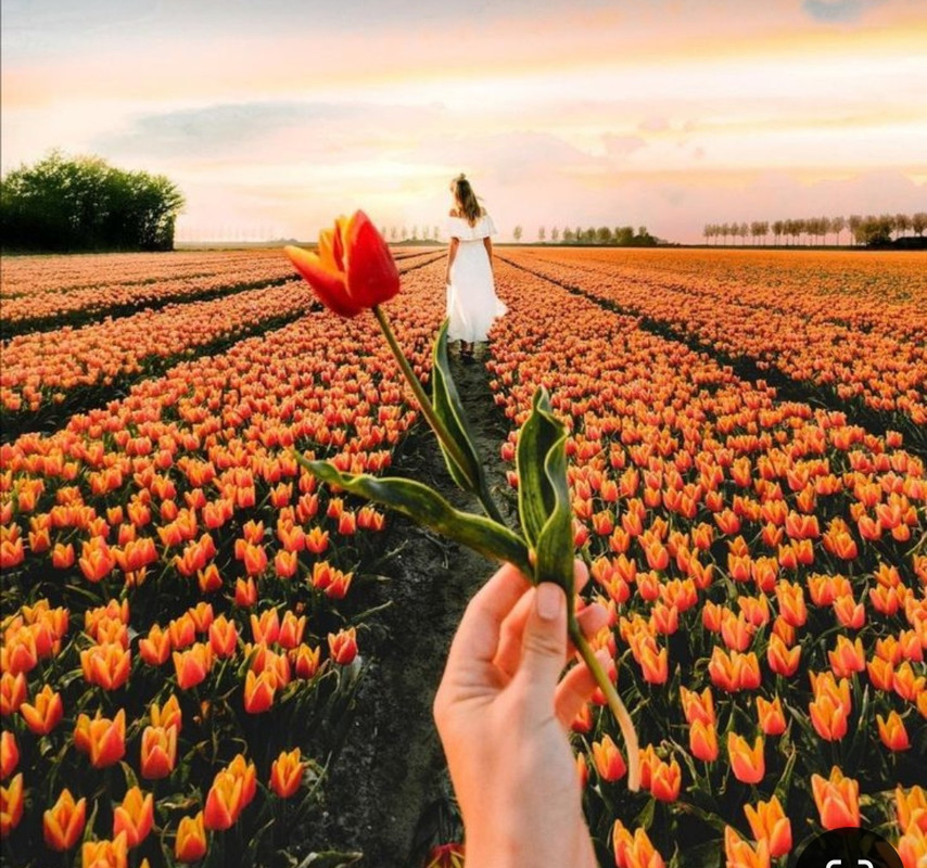 Screenshot_20240603_222520_Pinterest