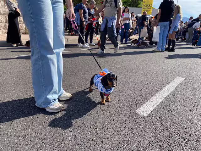 [Image: temp-Image-YUf-AUA.avif]