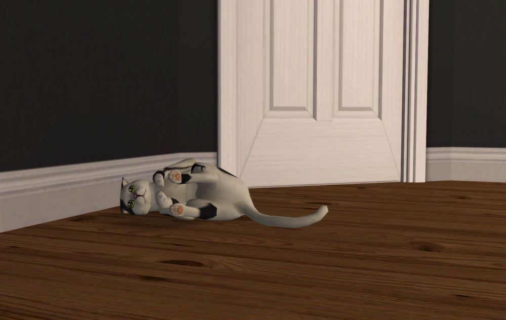 Sims2-EP9-RPC-2021-07-07-20-55-15-26